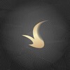 星空影视正版破解版